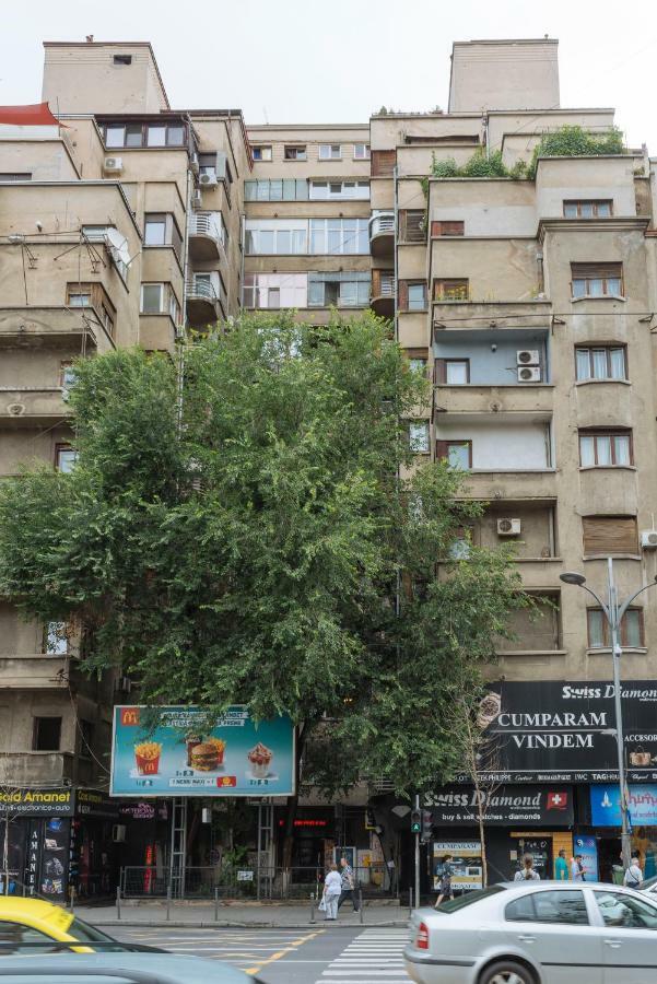 Petite Maison Sur Le Boulevard Bucarest Exterior foto